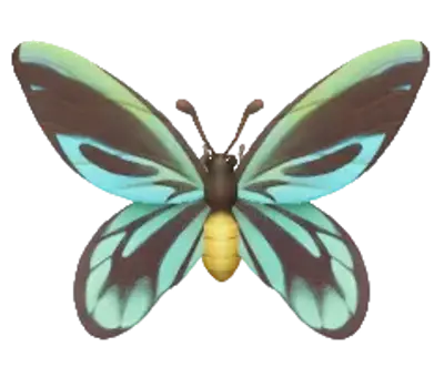 Mariposa Alas de Pájaro Reina Alejandra