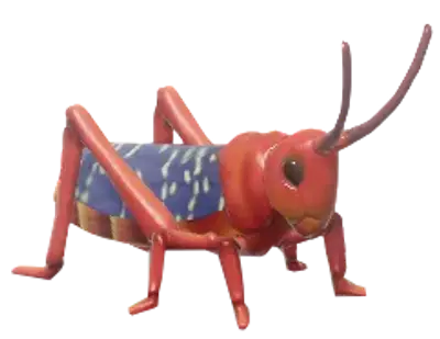 Langosta de Algodoncillo Roja